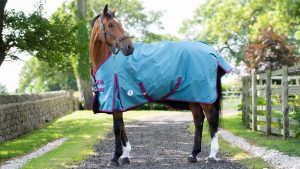 Derby House Pro medium/lite standard turnout 