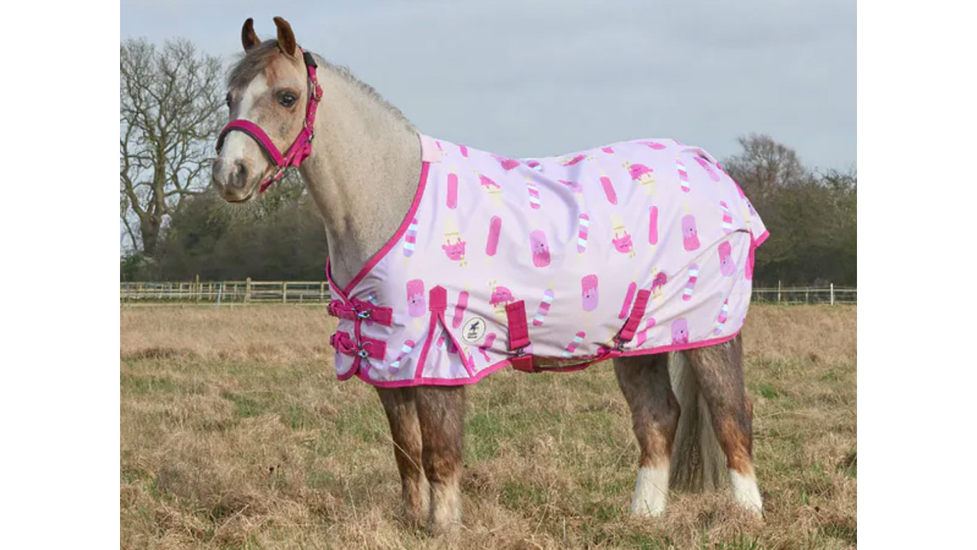 Patterned horse rugs to feast your eyes on | Horse & Hound