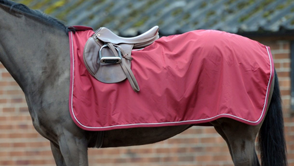 Best exercise sheets for horses in a range of styles Horse & Hound