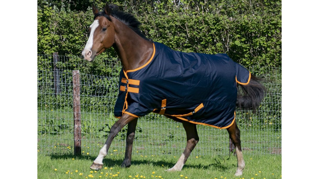 Best rain sheets for horses to protect from showers Horse & Hound