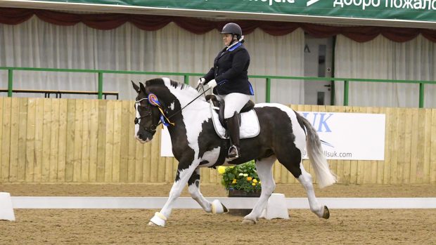 British Dressage - English Equestrian Home Decorations Uk British Dressage - English Equestrian Home Decorations Uk