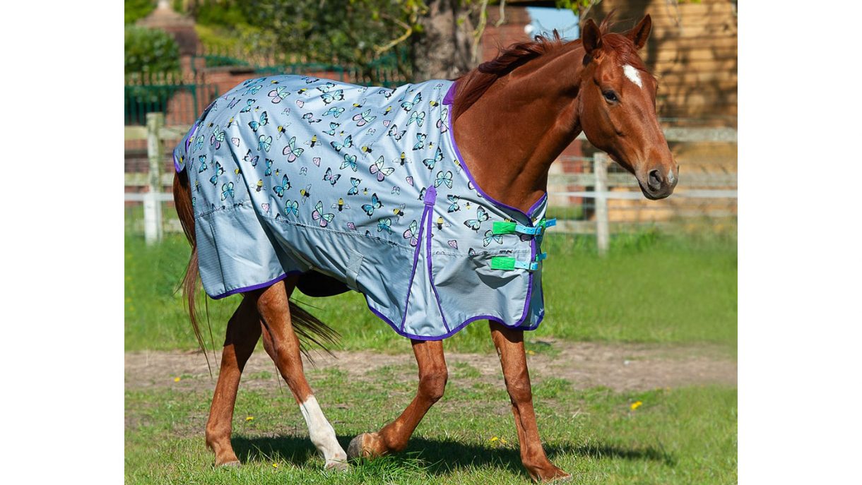 Patterned horse rugs to feast your eyes on | Horse & Hound