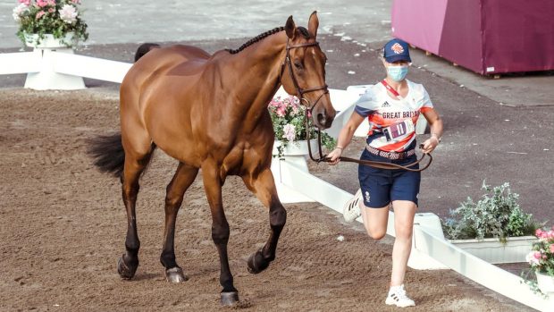 Olympic showjumping team qualifier