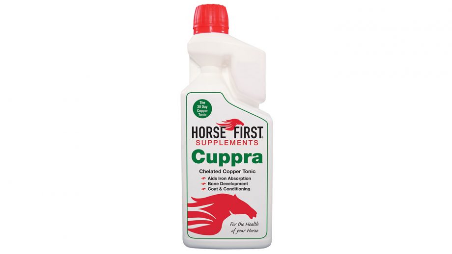 Best skin and coat supplements for horses what’s available?