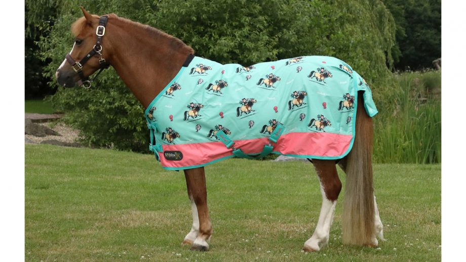 Patterned horse rugs to feast your eyes on Horse & Hound