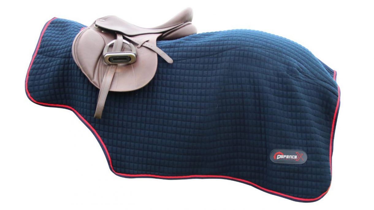 Best exercise sheets for horses in a range of styles Horse & Hound