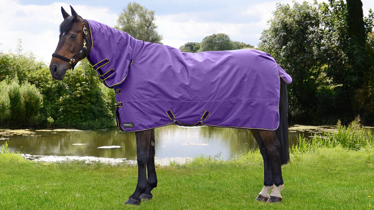Best lightweight turnout rugs for horses Horse & Hound