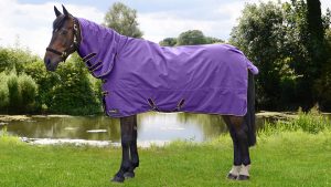 Hy StormX Original 50 Combi turnout 
