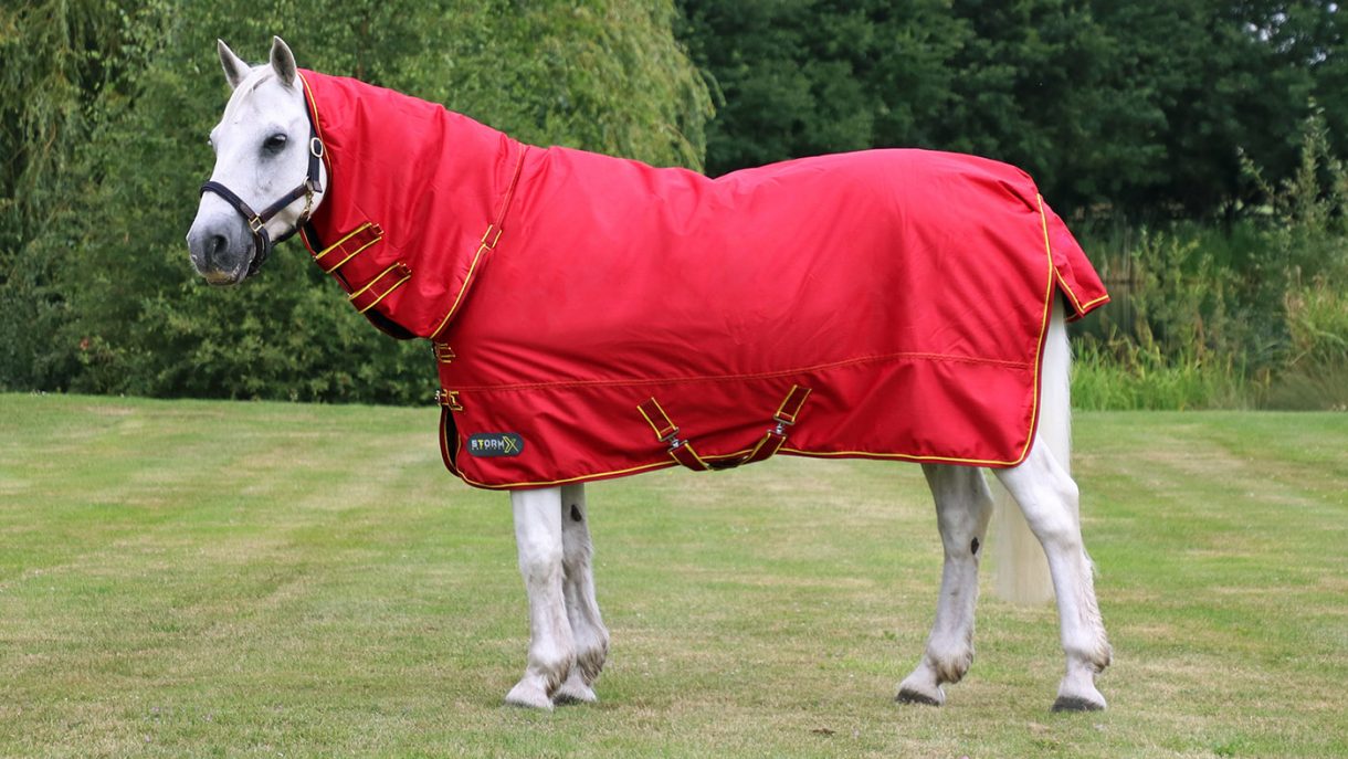 Best medium weight turnout rugs with up to 250g fill Horse & Hound