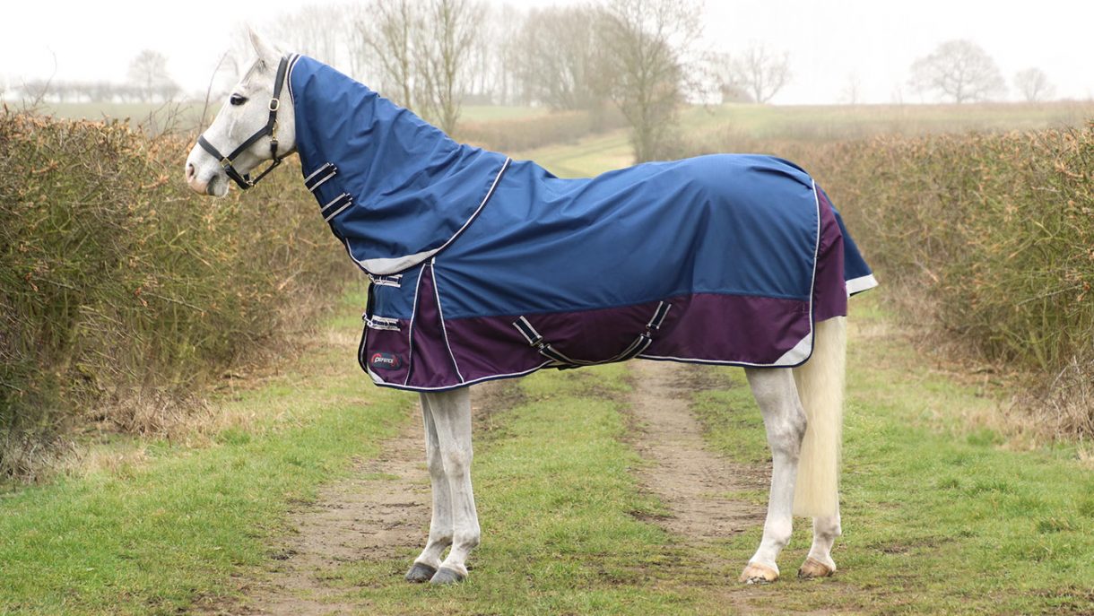 Best rain sheets for horses to protect from showers Horse & Hound