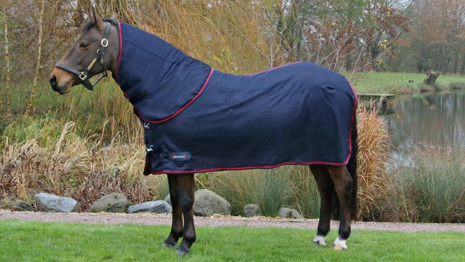 Best travel rugs for horses for use throughout the year Horse & Hound