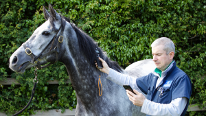 The EquiTrace app has been developed to help improve equine traceability and welfare.