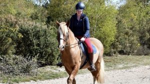 Holly Williams has shared a riding hat safety message, after she was kicked in the head while leading a horse.