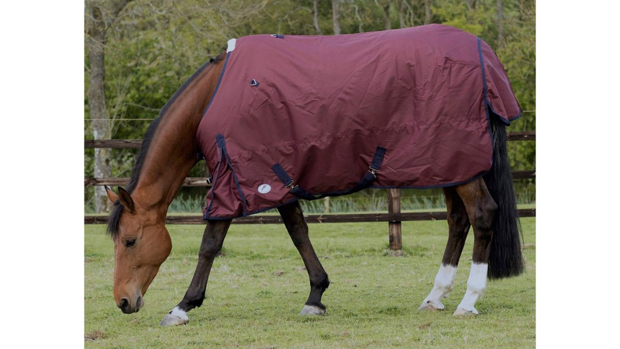 Best rain sheets for horses to protect from showers Horse & Hound