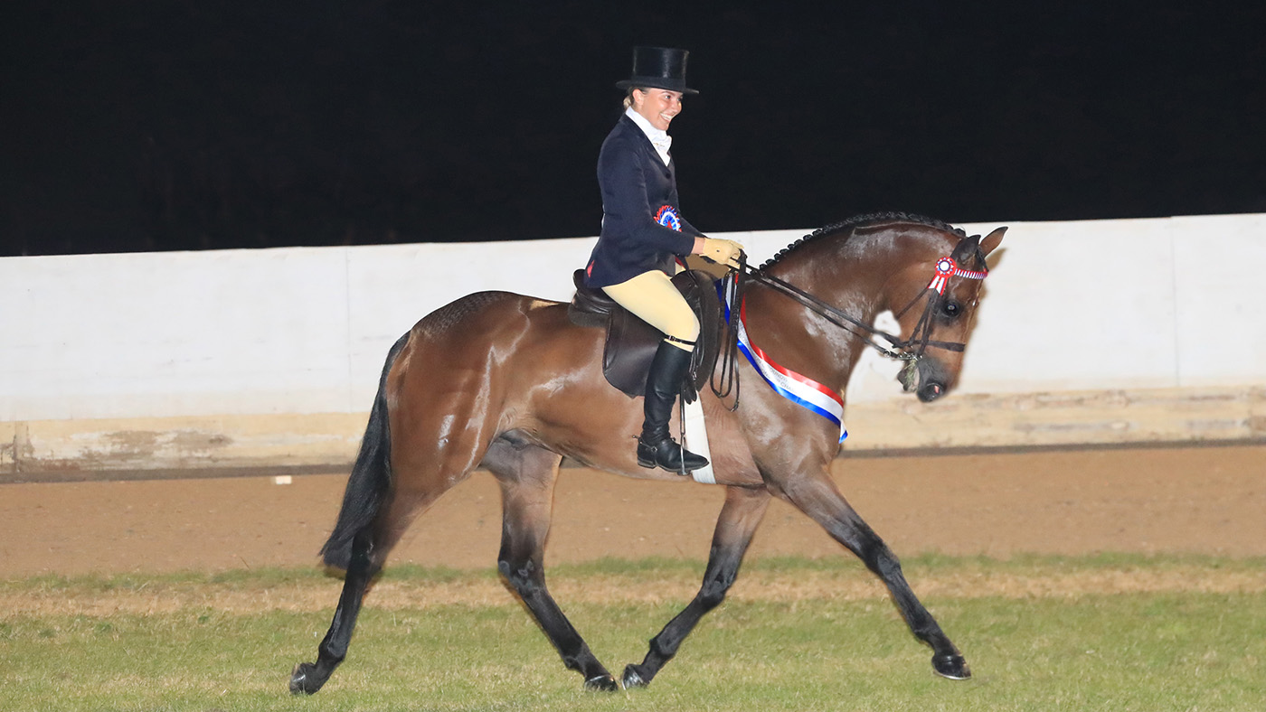 Equifest showing results: Ladies Man takes the ridden novice title