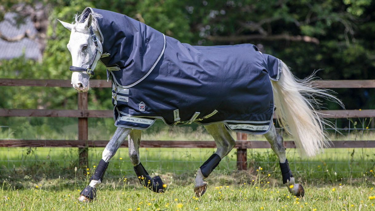 Best lightweight turnout rugs with 50150g fill Horse & Hound