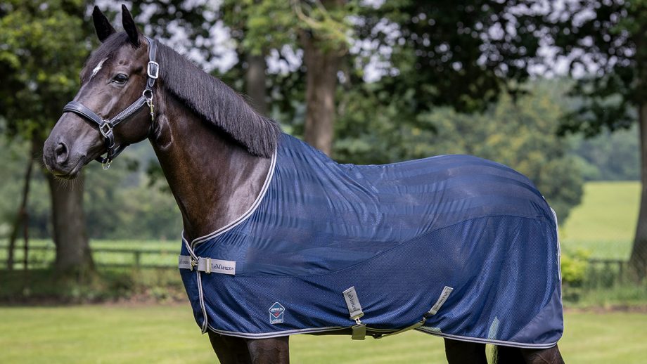 Best travel rugs for horses for use throughout the year Horse & Hound