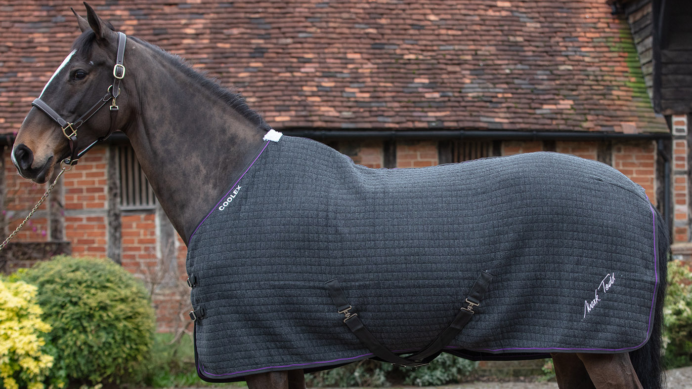 Mark Todd Coolex cooler travel rug for horses