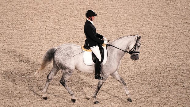 tobias thorning jorgensen paralympic dressage