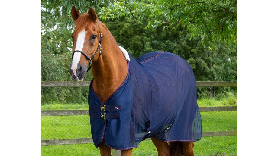 Best travel rugs for horses for use throughout the year Horse & Hound