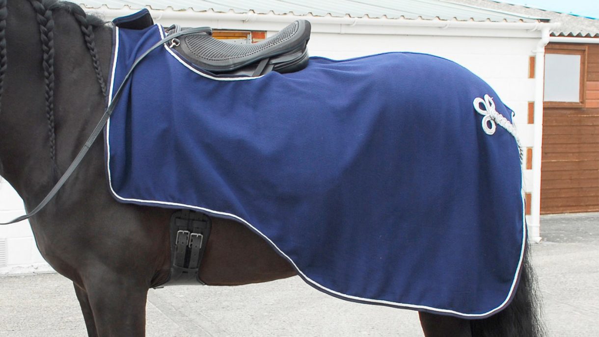 Best exercise sheets for horses in a range of styles Horse & Hound