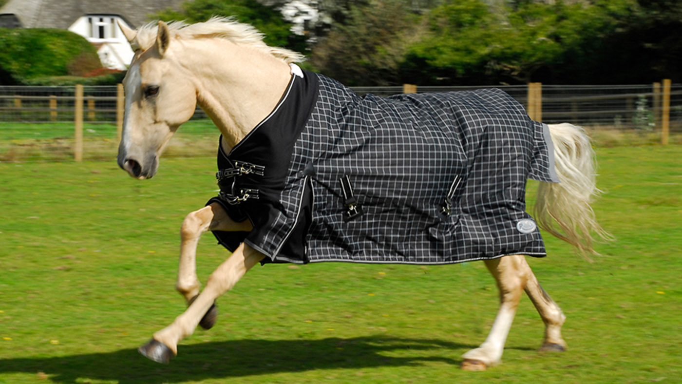 Rhinegold Elite Montpellier turnout rug