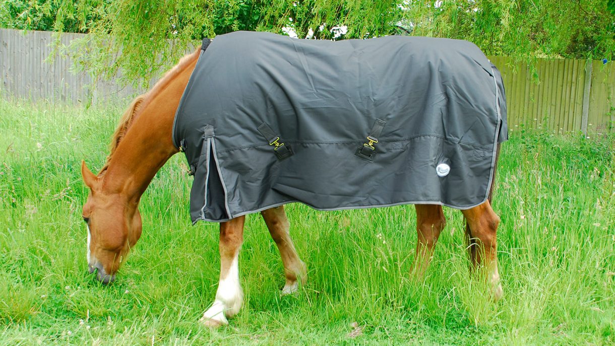 Derby House medium Combo Polka Dot turnout rug review review Horse