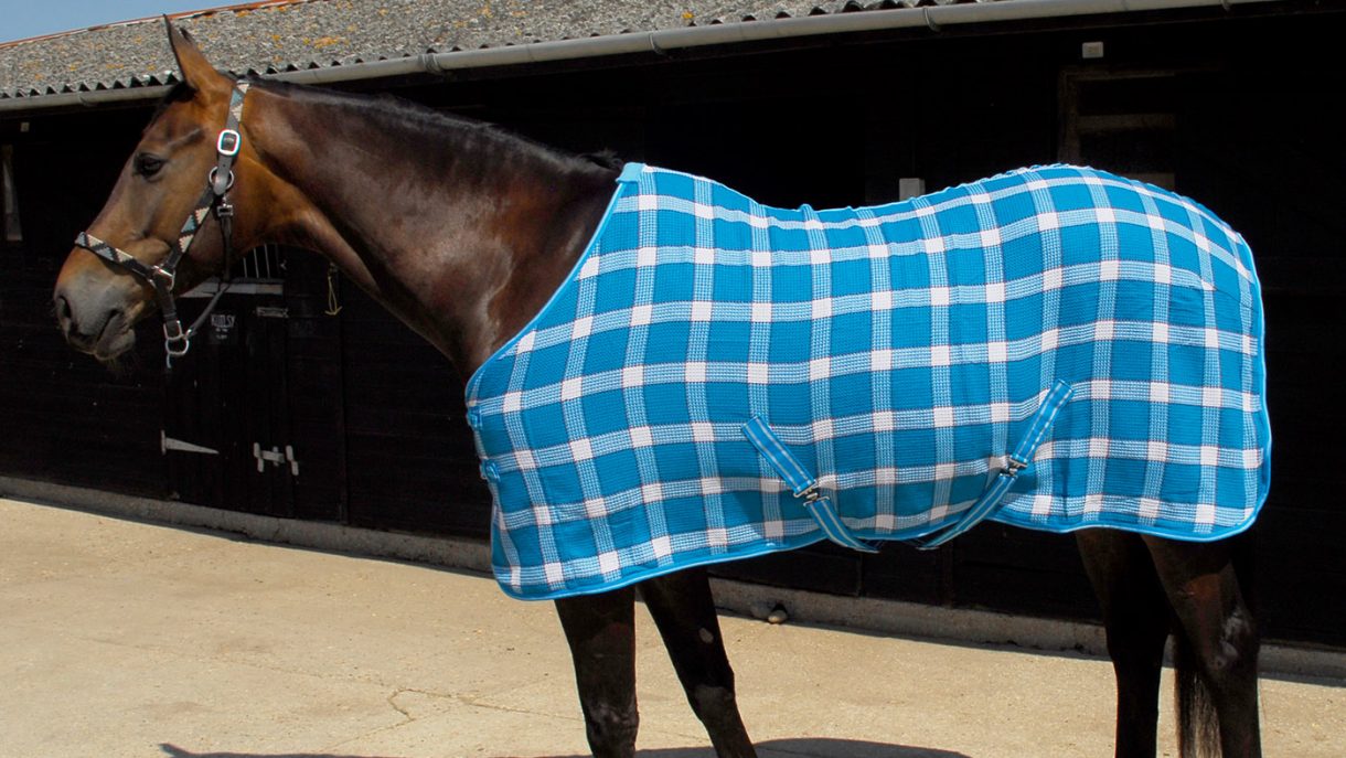 Best travel rugs for horses for use throughout the year Horse & Hound