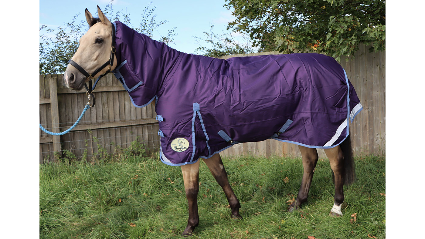 SALE Rhinegold 350g Heavyweight Outdoor Turnout Rug with 1000 Denier