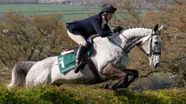 Saphir Du Rheu jumps a hedge out hunting
