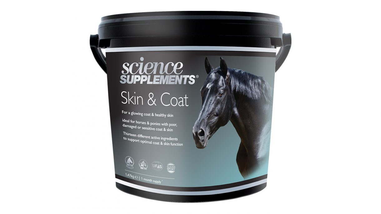 Laminitis supplements to support laminitis-prone horses | Horse & Hound