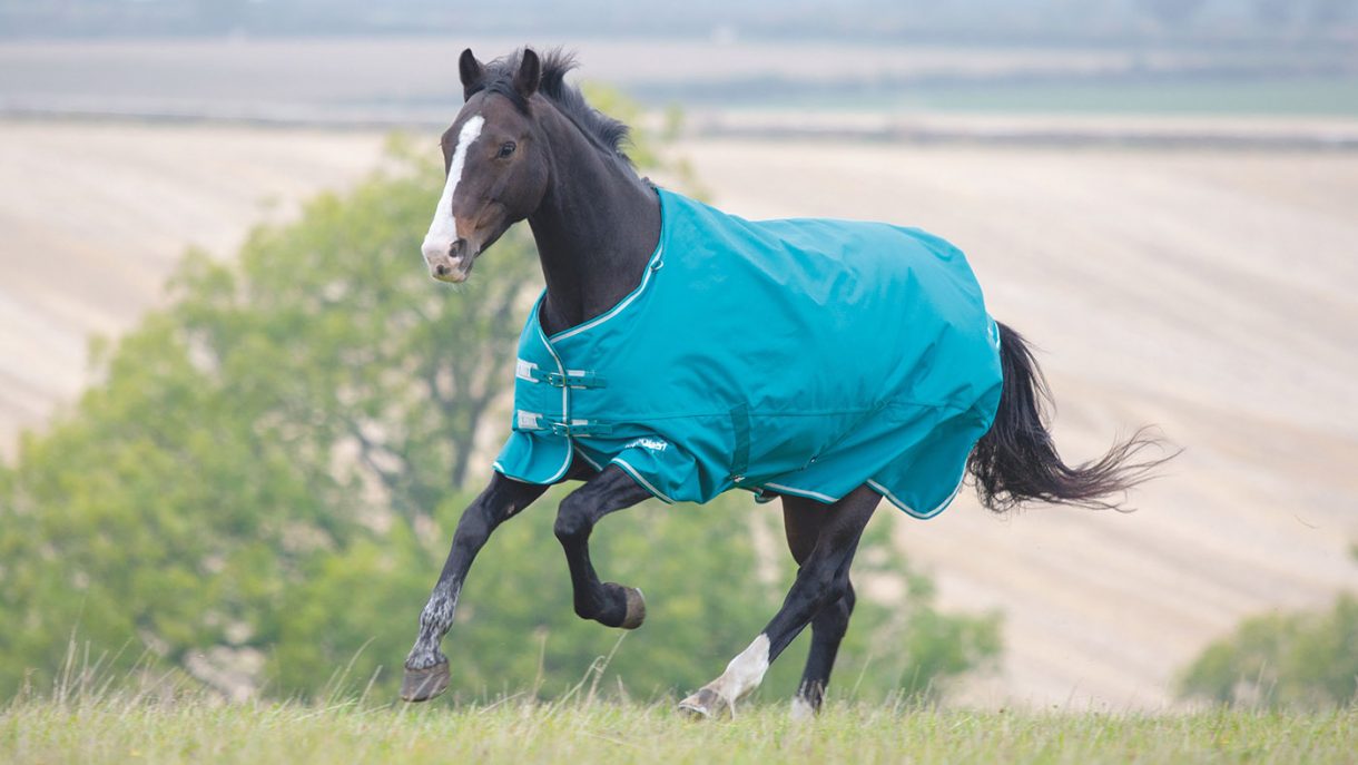 Best heavyweight turnout rugs for all budgets Horse & Hound