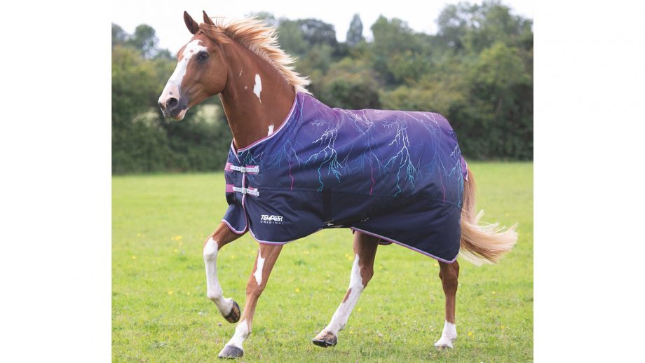 Patterned horse rugs to feast your eyes on | Horse & Hound