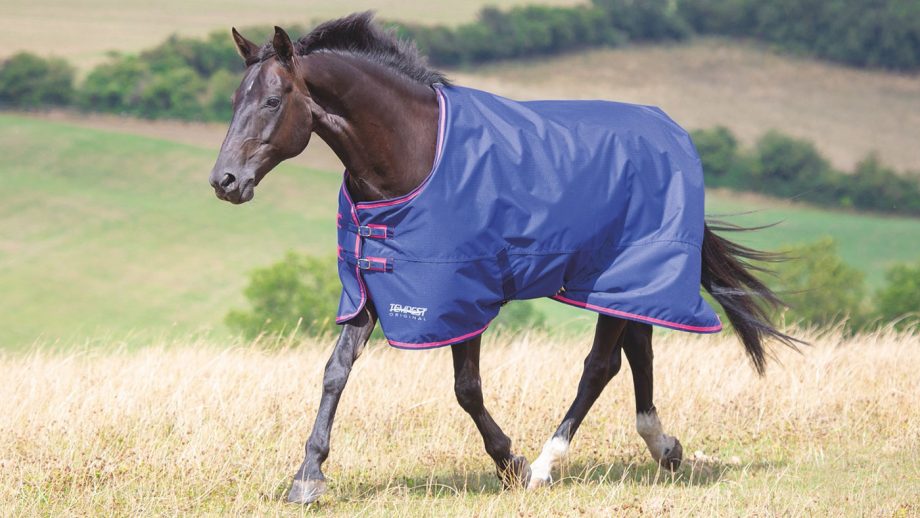 Best lightweight turnout rugs for horses Horse & Hound