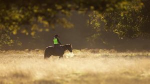 How menopause is affecting some horse riders