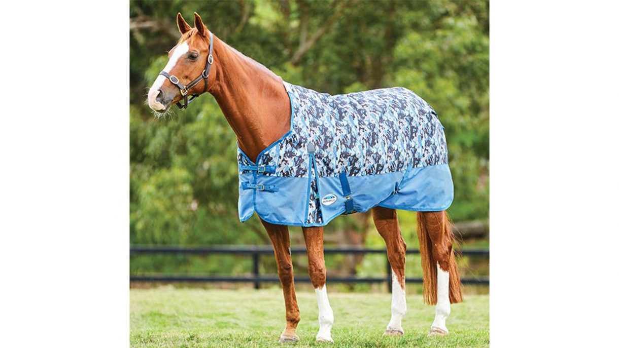 Patterned horse rugs to feast your eyes on Horse & Hound