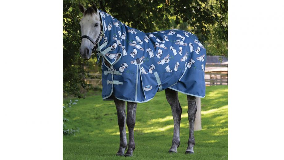 Patterned horse rugs to feast your eyes on | Horse & Hound