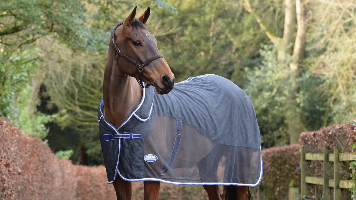 Best travel rugs for horses for use throughout the year Horse & Hound