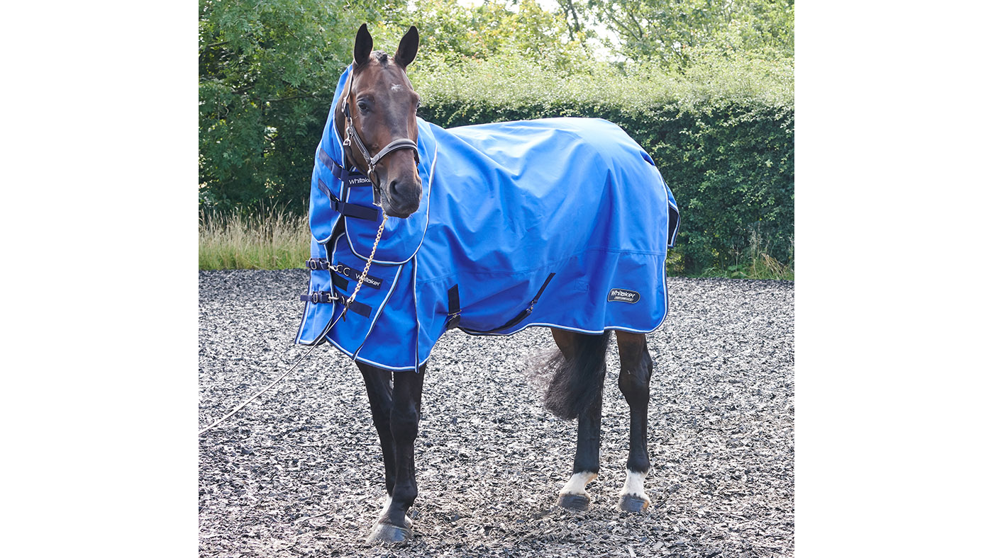 Best heavyweight turnout rugs for all budgets Horse & Hound
