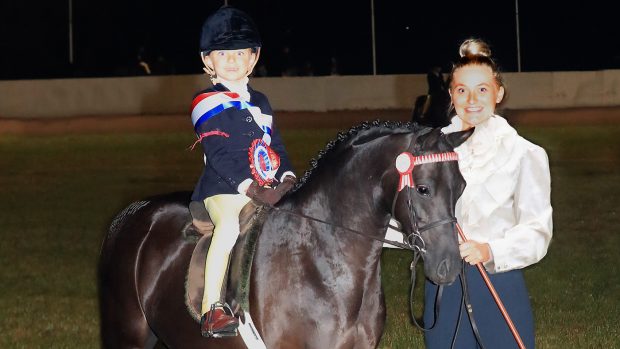 Equifest Barkway Blackberry