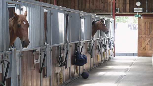 Indoor barn stables