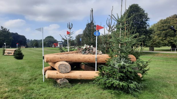 Blenheim Horse Trials cross-country reactions