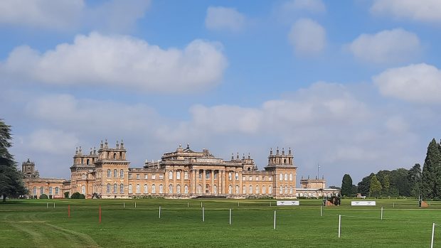 Blenheim Horse Trials trot-up Sunday