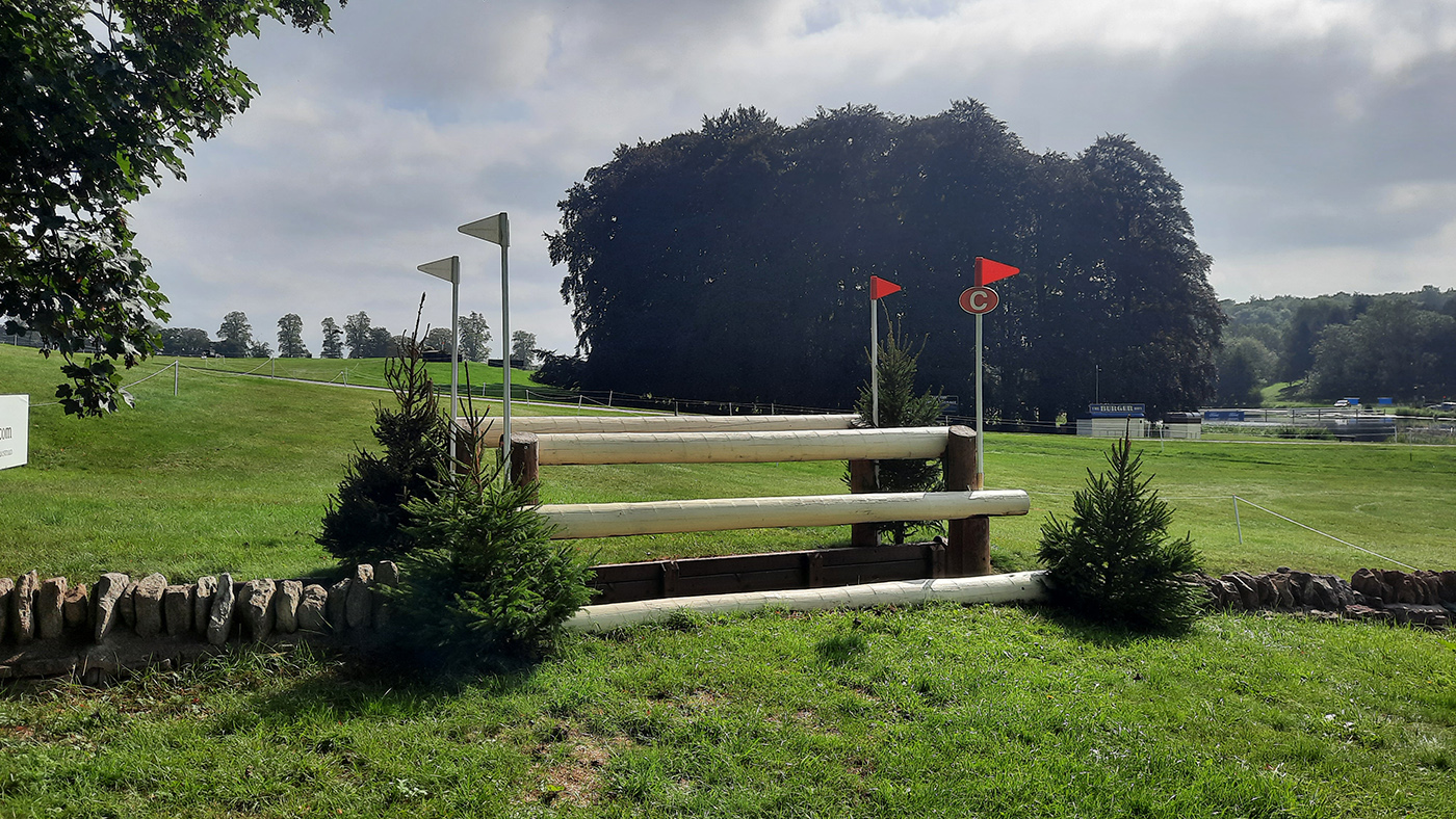 Blenheim Horse Trials CCI4*-L fence 11c