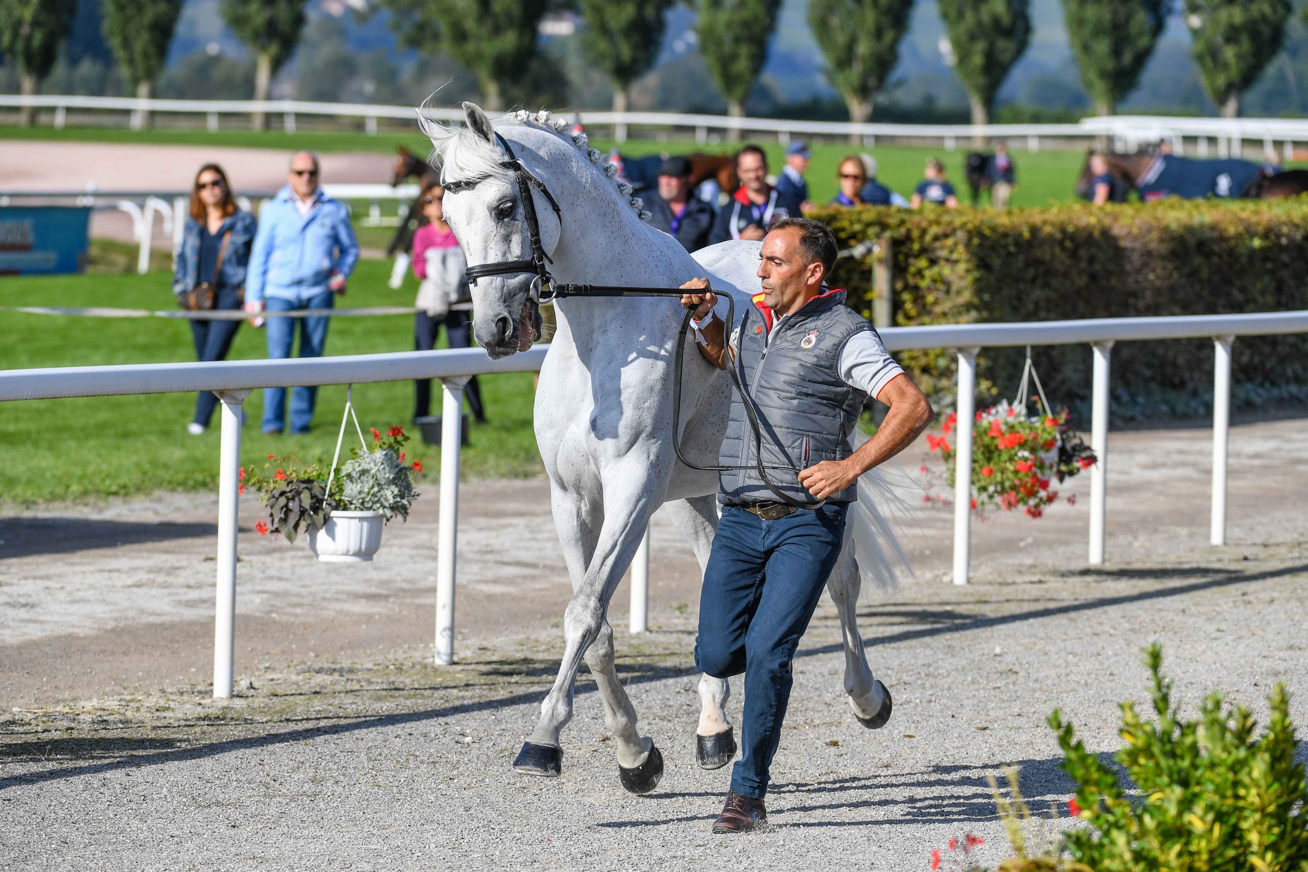 European Eventing Championships first trot-up photos: Albert Hermoso Farras and Quilate 32 53