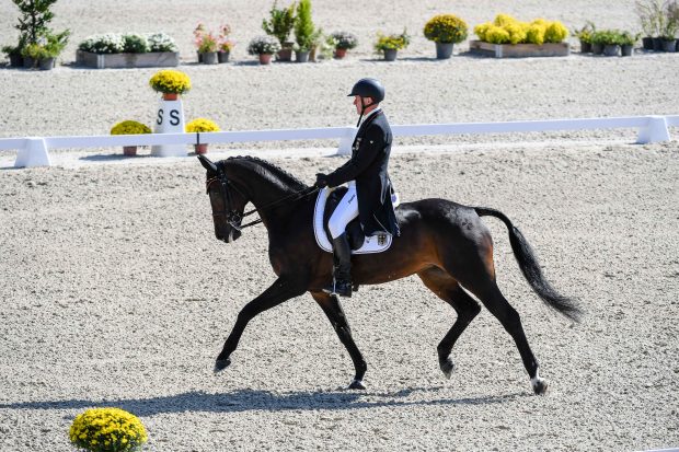 European Eventing Championships dressage Andreas DIBOWSKI (GER) riding FRH Corrida during the dressage phase at the FEI Eventing European Championships at Avenches held at IENA in Switzerland between the 23-26 September 2021