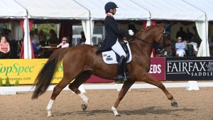 Anna Ross and Newton Domino competing at the National Dressage Championships