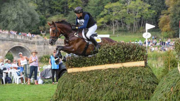 Blenheim Horse Trials cross-country statistics 2021