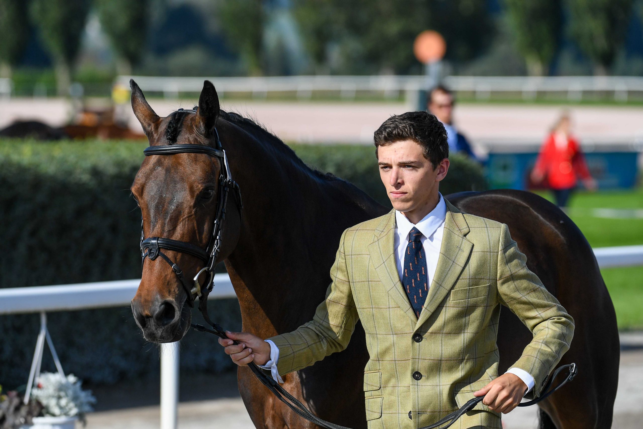 European Eventing Championships first trot-up photos: Cathal Daniels and LEB Lias Jewel