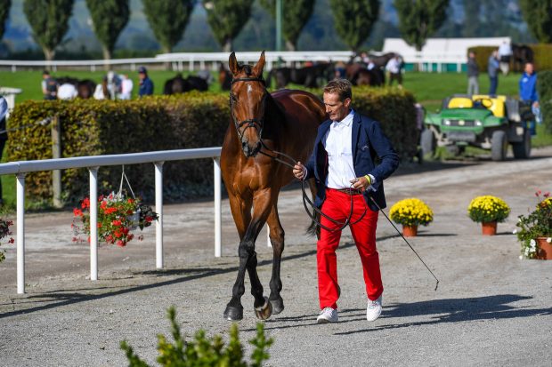 European Eventing Championships first trot-up: Jean Lou Bigot and Utrillo Du Halage